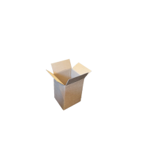 removebg.png