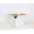 11 3/16X8 5/8X8 32ECT White Box 